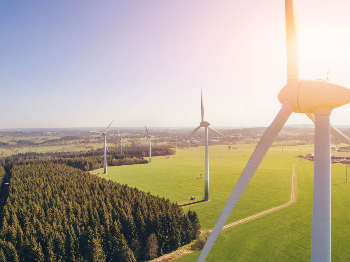 Wind turbines in a field near trees on a sunny day